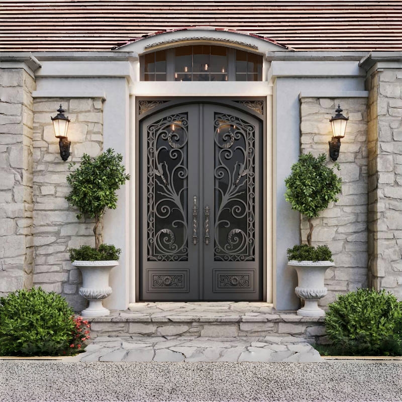 Main entry door —  European Style Iron Wrought Double Doors